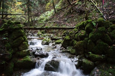 DSC04990.jpg (183.43 KiB) 閲覧された回数 13074 回 八坂神社北東の谷の橋台跡 ちょっとした車両は通れたのだと思う