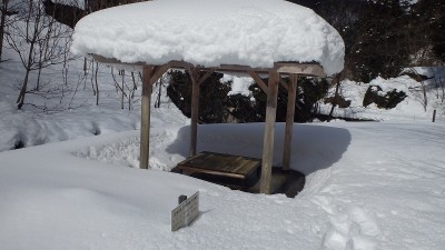 P2031071.jpg (112.66 KiB) 閲覧された回数 543 回 渓流公園の登山口付近から