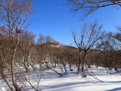 ここでスノーシューを装着