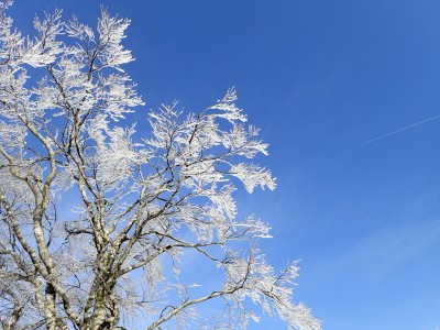 霧氷と飛行機雲