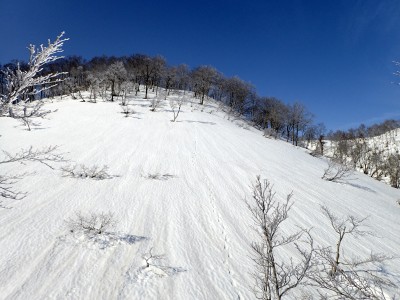 1150mピークを降りた先から仰ぎ見る