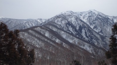 P3221226.jpg (130.56 KiB) 閲覧された回数 26 回 伏拝から経ヶ岳への尾根