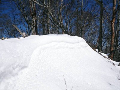 雪のイケマヨ尾根
