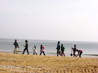 ● 海辺に松ノ木植樹帰りの子供達、砂の掛け合いはワルがきたち、コレがいい眺めだ<br />気分治しにどうぞ（＾＾）これから潮干狩りも好いんだワン