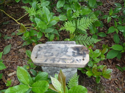 DSC00636.JPG (164.87 KiB) 閲覧された回数 3785 回 滝波山 三角点