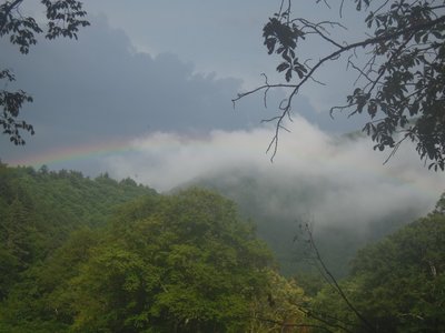 雨が小降りになったら虹が出た